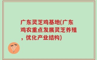 广东灵芝鸡基地(广东鸡农重点发展灵芝养殖，优化产业结构)