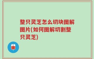 整只灵芝怎么切块图解图片(如何图解切割整只灵芝)
