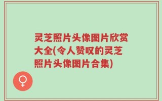 灵芝照片头像图片欣赏大全(令人赞叹的灵芝照片头像图片合集)