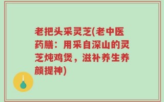 老把头采灵芝(老中医药膳：用采自深山的灵芝炖鸡煲，滋补养生养颜提神)