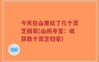今天在山里捡了几个灵芝回家(山间寻宝：收获数个灵芝归家)