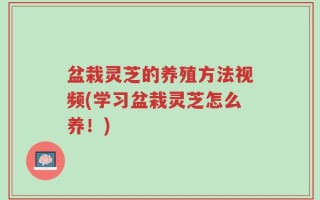 盆栽灵芝的养殖方法视频(学习盆栽灵芝怎么养！)