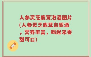 人参灵芝鹿茸泡酒图片(人参灵芝鹿茸自酿酒，营养丰富，喝起来香甜可口)