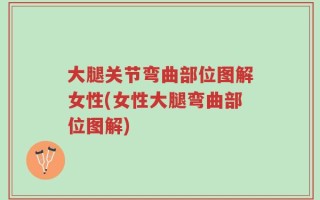大腿关节弯曲部位图解女性(女性大腿弯曲部位图解)