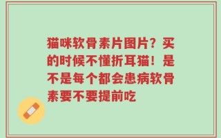 猫咪软骨素片图片？买的时候不懂折耳猫！是不是每个都会患病软骨素要不要提前吃