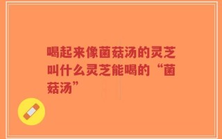 喝起来像菌菇汤的灵芝叫什么灵芝能喝的“菌菇汤”