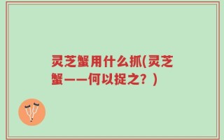 灵芝蟹用什么抓(灵芝蟹——何以捉之？)