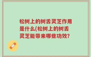 松树上的树舌灵芝作用是什么(松树上的树舌灵芝能带来哪些功效？