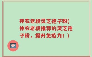 神农老段灵芝孢子粉(神农老段推荐的灵芝孢子粉，提升免疫力！)