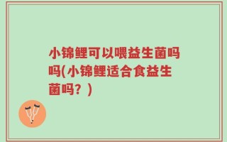 小锦鲤可以喂益生菌吗吗(小锦鲤适合食益生菌吗？)