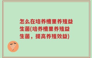 怎么在培养槽里养殖益生菌(培养槽里养殖益生菌，提高养殖效益)