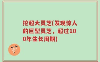 挖超大灵芝(发现惊人的巨型灵芝，超过100年生长周期)