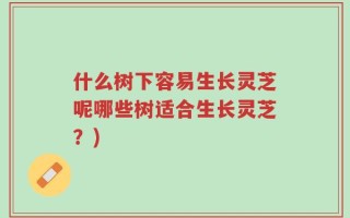 什么树下容易生长灵芝呢哪些树适合生长灵芝？)