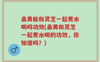 桑黄能和灵芝一起煮水喝吗功效(桑黄和灵芝一起煮水喝的功效，你知道吗？)