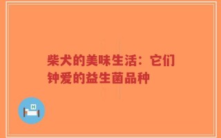 柴犬的美味生活：它们钟爱的益生菌品种