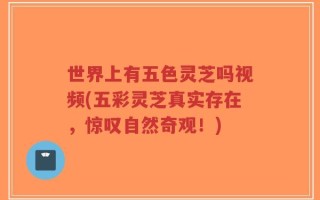 世界上有五色灵芝吗视频(五彩灵芝真实存在，惊叹自然奇观！)