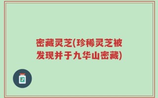 密藏灵芝(珍稀灵芝被发现并于九华山密藏)