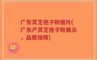 广东灵芝孢子粉图片(广东产灵芝孢子粉展示，品质保障)