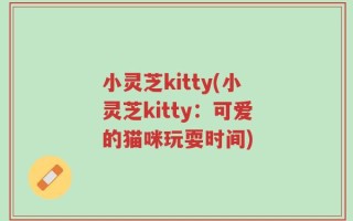小灵芝kitty(小灵芝kitty：可爱的猫咪玩耍时间)