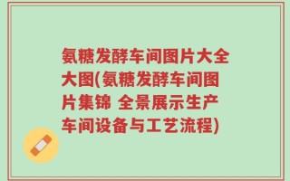 氨糖发酵车间图片大全大图(氨糖发酵车间图片集锦 全景展示生产车间设备与工艺流程)