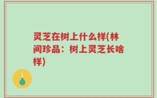 灵芝在树上什么样(林间珍品：树上灵芝长啥样)