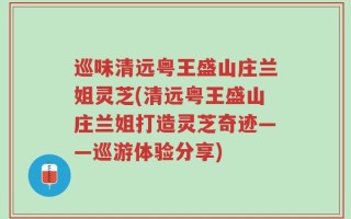 巡味清远粤王盛山庄兰姐灵芝(清远粤王盛山庄兰姐打造灵芝奇迹——巡游体验分享)