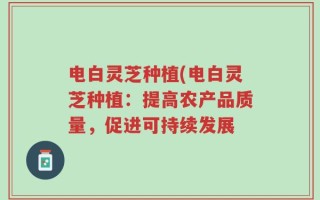 电白灵芝种植(电白灵芝种植：提高农产品质量，促进可持续发展