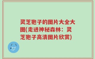 灵芝狍子的图片大全大图(走进神秘森林：灵芝狍子高清图片欣赏)