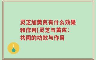 灵芝加黄芪有什么效果和作用(灵芝与黄芪：共同的功效与作用