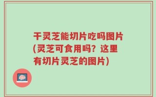 干灵芝能切片吃吗图片(灵芝可食用吗？这里有切片灵芝的图片)