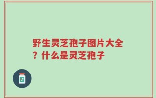 野生灵芝孢子图片大全？什么是灵芝孢子