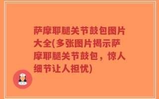 萨摩耶腿关节鼓包图片大全(多张图片揭示萨摩耶腿关节鼓包，惊人细节让人担忧)