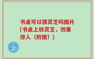 书桌可以摆灵芝吗图片(书桌上放灵芝，效果惊人（附图）)