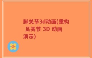 脚关节3d动画(重构 足关节 3D 动画演示)