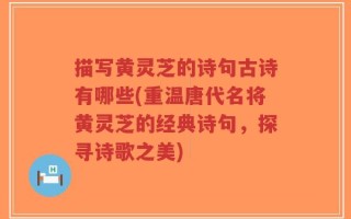 描写黄灵芝的诗句古诗有哪些(重温唐代名将黄灵芝的经典诗句，探寻诗歌之美)