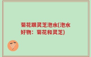 菊花跟灵芝泡水(泡水好物：菊花和灵芝)