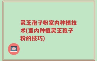 灵芝孢子粉室内种植技术(室内种植灵芝孢子粉的技巧)