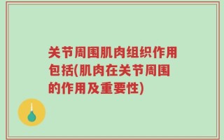 关节周围肌肉组织作用包括(肌肉在关节周围的作用及重要性)