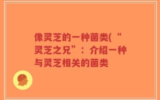 像灵芝的一种菌类(“灵芝之兄”：介绍一种与灵芝相关的菌类