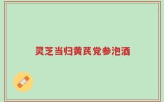灵芝当归黄芪党参泡酒