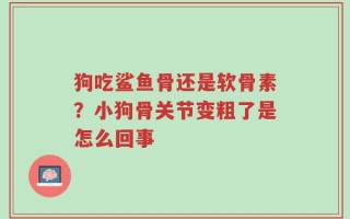 狗吃鲨鱼骨还是软骨素？小狗骨关节变粗了是怎么回事