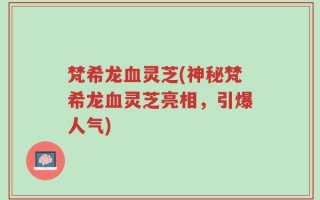 梵希龙血灵芝(神秘梵希龙血灵芝亮相，引爆人气)