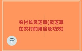 农村长灵芝草(灵芝草在农村的用途及功效)