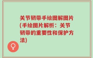 关节韧带手绘图解图片(手绘图片解析：关节韧带的重要性和保护方法)