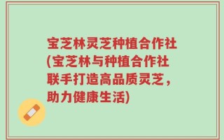 宝芝林灵芝种植合作社(宝芝林与种植合作社联手打造高品质灵芝，助力健康生活)