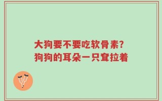 大狗要不要吃软骨素？狗狗的耳朵一只耷拉着