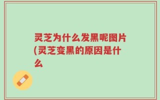 灵芝为什么发黑呢图片(灵芝变黑的原因是什么
