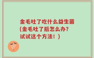 金毛吐了吃什么益生菌(金毛吐了后怎么办？试试这个方法！)