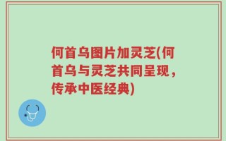 何首乌图片加灵芝(何首乌与灵芝共同呈现，传承中医经典)