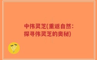 中伟灵芝(重返自然：探寻伟灵芝的奥秘)